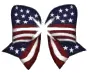 Patriotic Bow