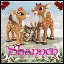 Shannon