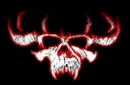 Danzig Skull