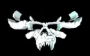 Danzig Spin Skull 