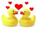 Kissee Ducks