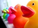 Colorful Duckies