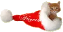 Fayeth