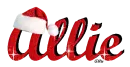 Santa Hat Allie sparkel