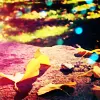 Colors