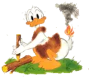 donald on fire