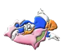 donald sleeping