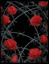 emo roses