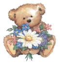 TEDDY BEAR
