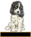 Blinkies Dog