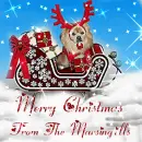 MERRY CHRISTMAS