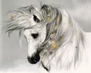 Snow horse