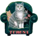 CAT IN CHAIR