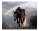 Painthorse
