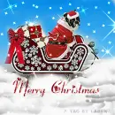 MERRY CHRISTMAS