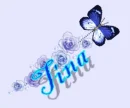 TINA