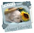 saturday