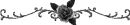 black rose
