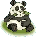 Oso Panda