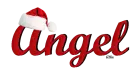 Angel Santa Hat