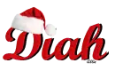 Diah Santa Hat