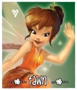 fawn