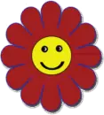 hippie daisy