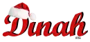 Dinah Santa Hat