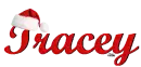 Tracey Santa Hat