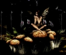 FAIRY