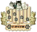 CATS AND PAW PRINTS