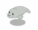 Manatee