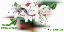 THREE CATS IN SANTAS HATS