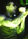 avenged sevenfold