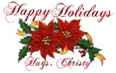 Happy Holidays Hugs Christy