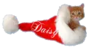Daisy