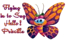 Priscilla