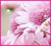 pink flower