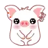 bey bey pig