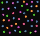 Flowers with Black background