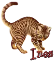 Ines