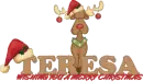 merry christmas