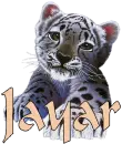 jayar