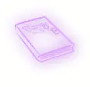 diary
