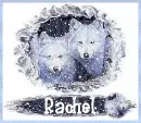 Snowy wolves - Rachel