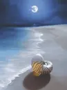 moon beach