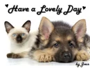have a lovely day