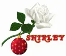 Shirley