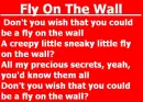 fly on the wall miley cyrus
