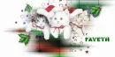 THREE CATS IN SANTAS HATS